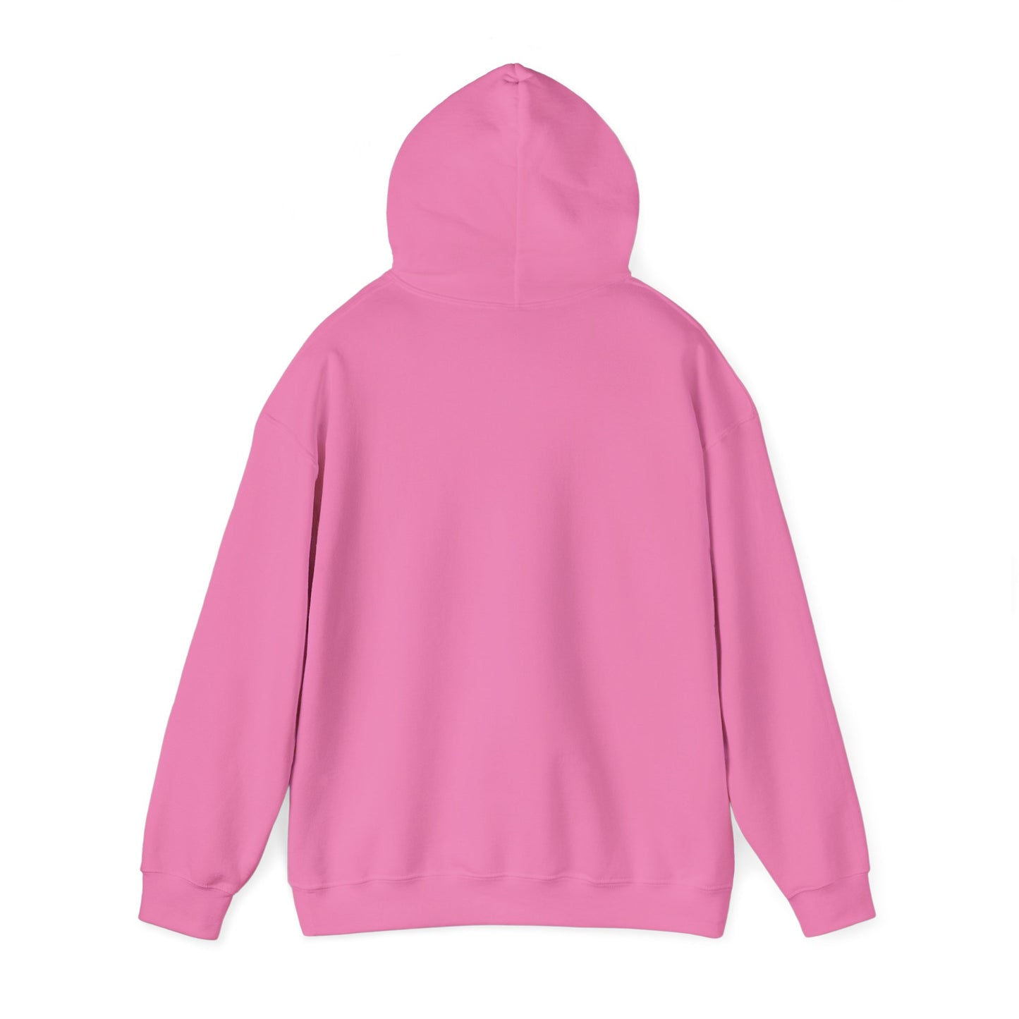 IN MY SWIFT ERA HOODIE