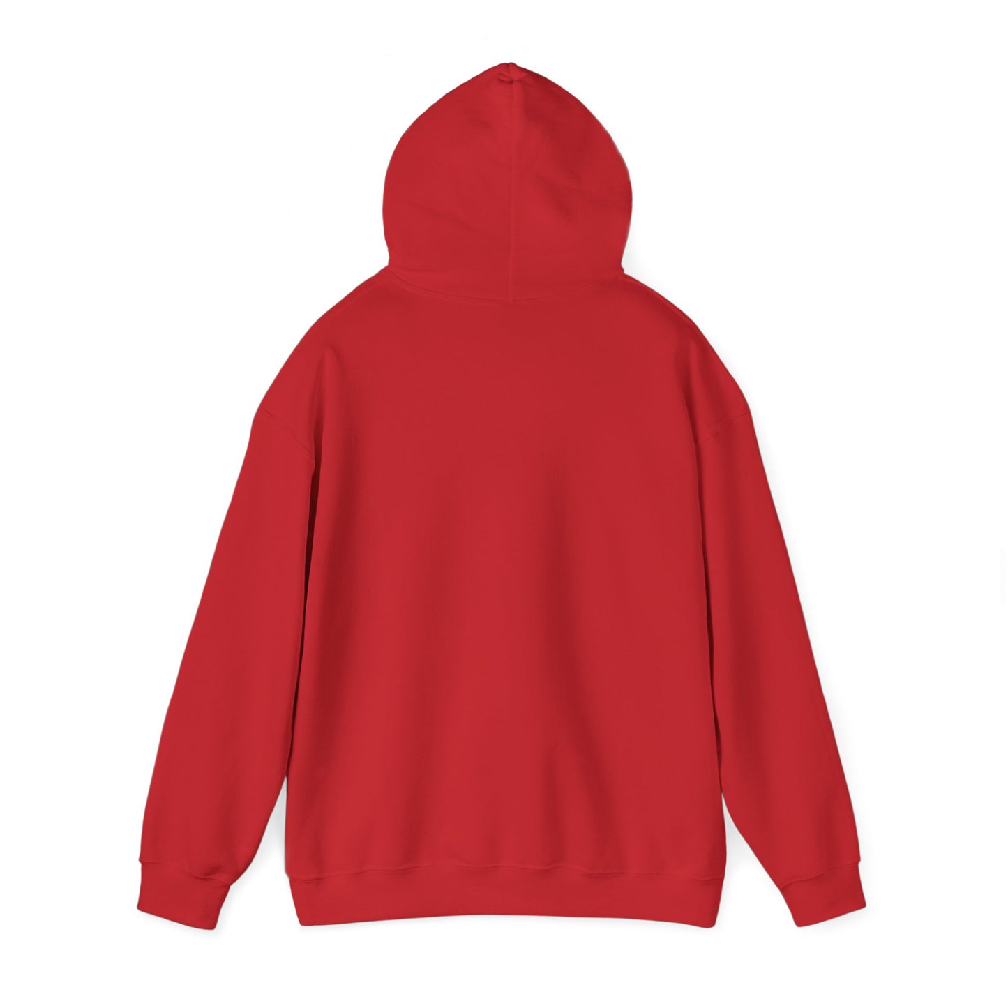 IN MY SWIFT ERA HOODIE