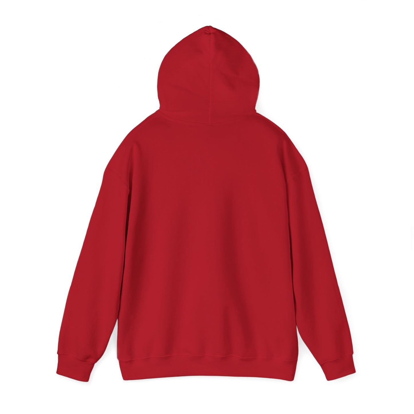 IN MY SWIFT ERA HOODIE